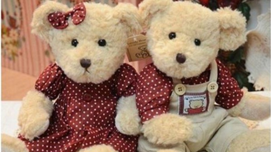 crazy store teddy bears